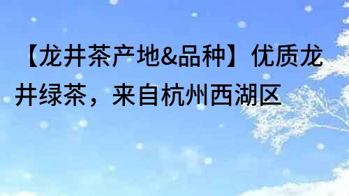 【龍井茶產地&品種】優質龍井綠茶，來自杭州西湖區