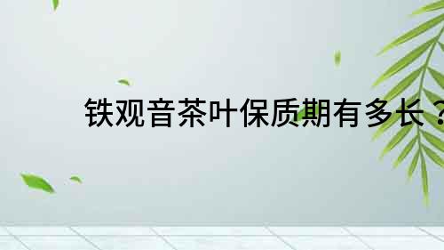鐵觀音茶葉保質期有多長？