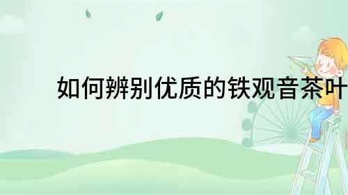 如何辨別優質的鐵觀音茶葉？