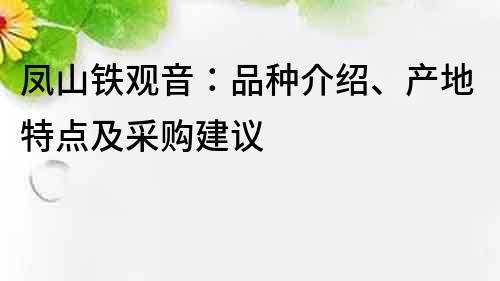 鳳山鐵觀音：品種介紹、產地特點及采購建議
