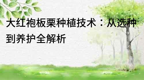 大紅袍板栗種植技術(shù)：從選種到養(yǎng)護(hù)全解析