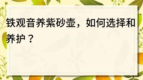 鐵觀音養(yǎng)紫砂壺，如何選擇和養(yǎng)護(hù)？