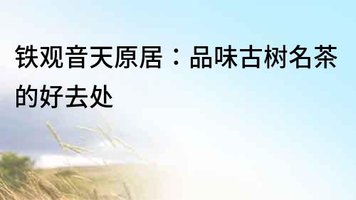 鐵觀音天原居：品味古樹名茶的好去處