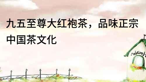 九五至尊大紅袍茶，品味正宗中國茶文化