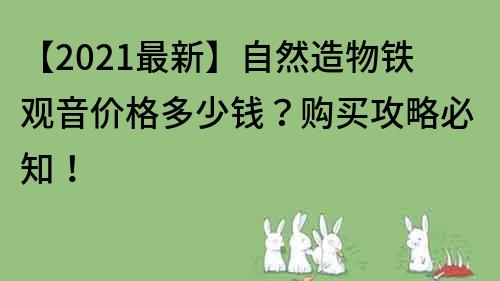 【2022最新】自然造物鐵觀音價格多少錢？購買攻略必知！