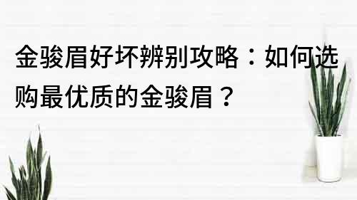 金駿眉好壞辨別攻略：如何選購(gòu)最優(yōu)質(zhì)的金駿眉？