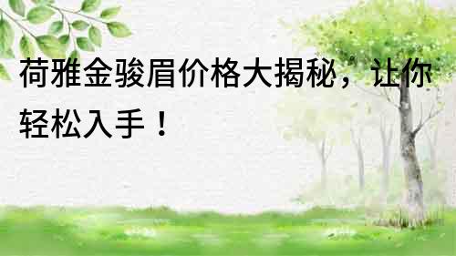 荷雅金駿眉價格大揭秘，讓你輕松入手！