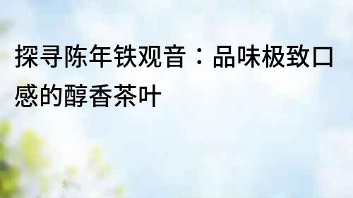 探尋陳年鐵觀音：品味極致口感的醇香茶葉