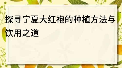 探尋寧夏大紅袍的種植方法與飲用之道