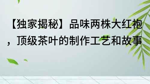【獨家揭秘】品味兩株大紅袍，頂級茶葉的制作工藝和故事