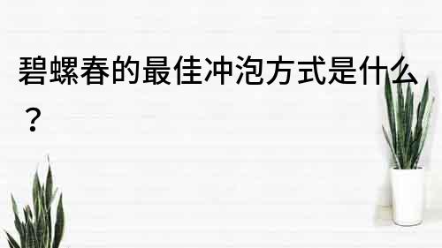 碧螺春的最佳沖泡方式是什么？