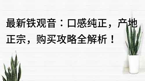 最新鐵觀音：口感純正，產地正宗，購買攻略全解析！
