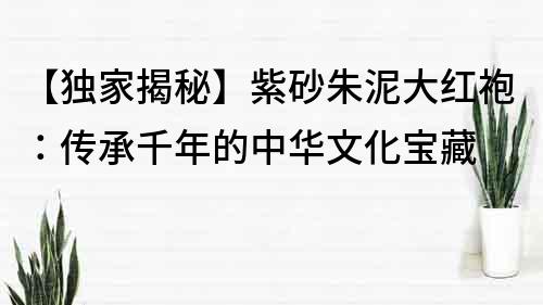 【獨家揭秘】紫砂朱泥大紅袍：傳承千年的中華文化寶藏