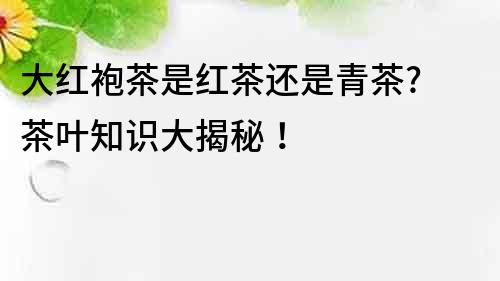 大紅袍茶是紅茶還是青茶? 茶葉知識大揭秘！