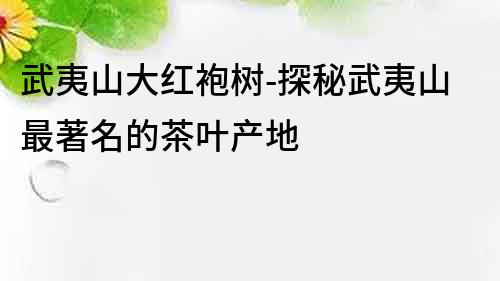武夷山大紅袍樹-探秘武夷山最著名的茶葉產地