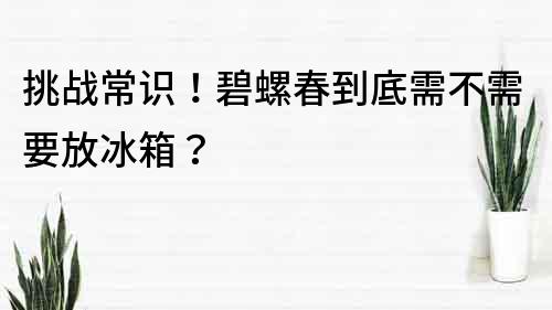 挑戰常識！碧螺春到底需不需要放冰箱？