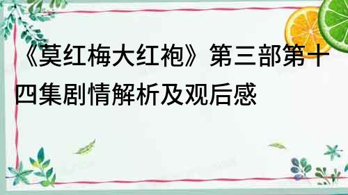 《莫紅梅大紅袍》第三部第十四集劇情解析及觀后感