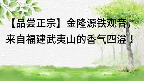 【品嘗正宗】金隆源鐵觀音，來自福建武夷山的香氣四溢！