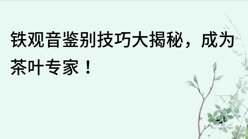鐵觀音鑒別技巧大揭秘，成為茶葉專家！