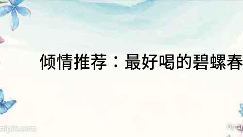 傾情推薦：最好喝的碧螺春！