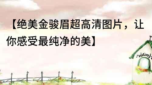 【絕美金駿眉超高清圖片，讓你感受最純凈的美】