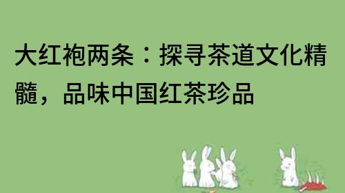 大紅袍兩條：探尋茶道文化精髓，品味中國紅茶珍品