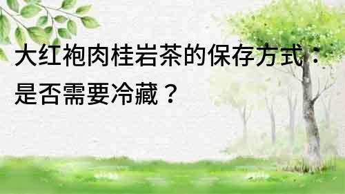 大紅袍肉桂巖茶的保存方式：是否需要冷藏？