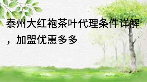 泰州大紅袍茶葉代理條件詳解，加盟優惠多多