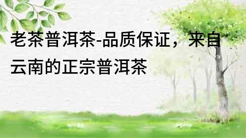 老茶普洱茶-品質保證，來自云南的正宗普洱茶
