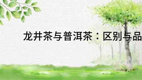 龍井茶與普洱茶：區別與品鑒