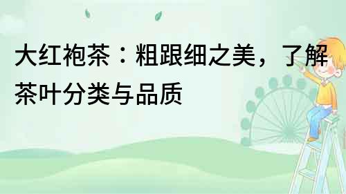 大紅袍茶：粗跟細(xì)之美，了解茶葉分類(lèi)與品質(zhì)