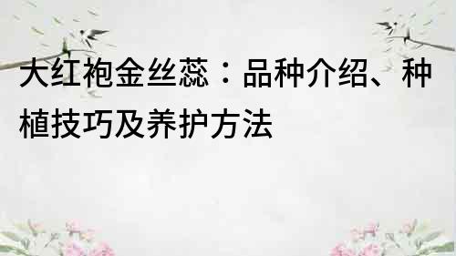 大紅袍金絲蕊：品種介紹、種植技巧及養(yǎng)護(hù)方法