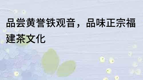 品嘗黃譽鐵觀音，品味正宗福建茶文化
