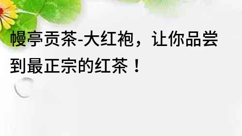 幔亭貢茶-大紅袍，讓你品嘗到最正宗的紅茶！