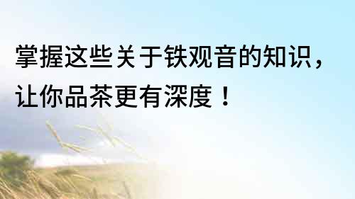 掌握這些關(guān)于鐵觀音的知識，讓你品茶更有深度！