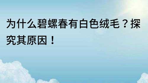 為什么碧螺春有白色絨毛？探究其原因！
