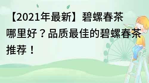 【2021年最新】碧螺春茶哪里好？品質最佳的碧螺春茶推薦！