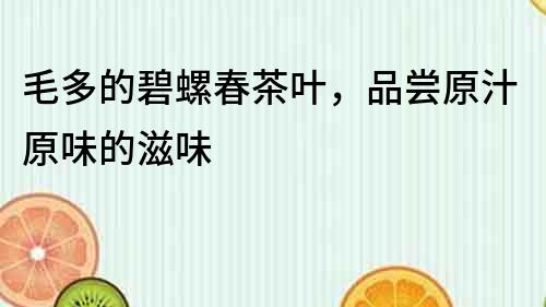 毛多的碧螺春茶葉，品嘗原汁原味的滋味