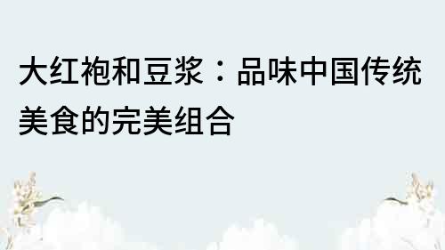 大紅袍和豆漿：品味中國傳統美食的完美組合