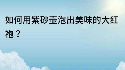 如何用紫砂壺泡出美味的大紅袍？