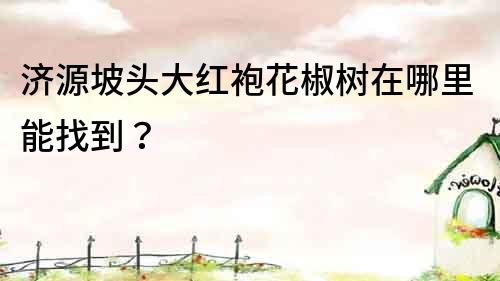濟源坡頭大紅袍花椒樹在哪里能找到？