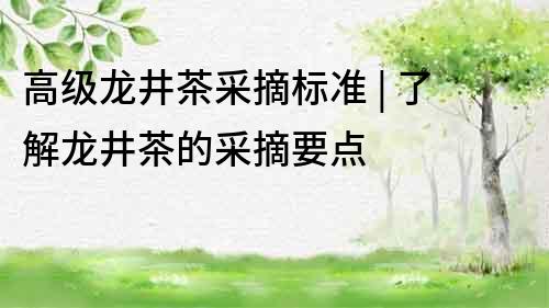 高級龍井茶采摘標準 | 了解龍井茶的采摘要點