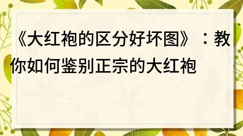 《大紅袍的區分好壞圖》：教你如何鑒別正宗的大紅袍