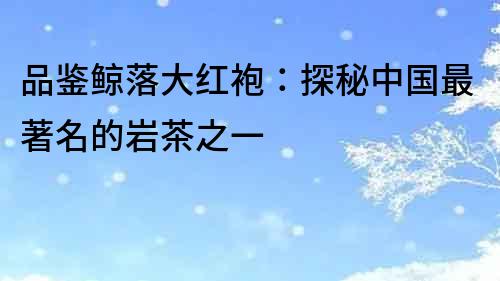 品鑒鯨落大紅袍：探秘中國最著名的巖茶之一