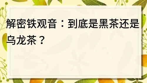 解密鐵觀音：到底是黑茶還是烏龍茶？