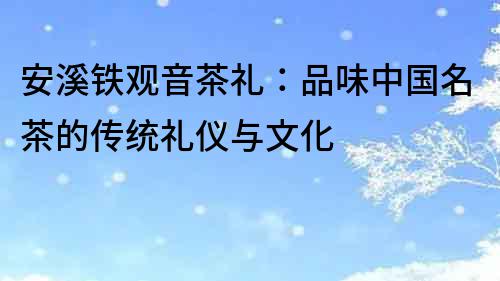 安溪鐵觀音茶禮:品味中國名茶的傳統禮儀與文化