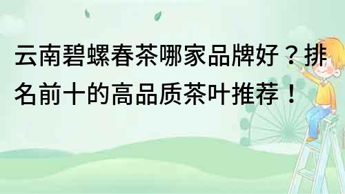 云南碧螺春茶哪家品牌好？排名前十的高品質茶葉推薦！