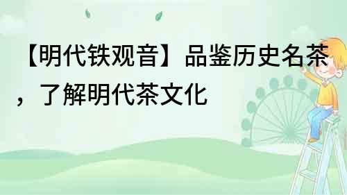 【明代鐵觀音】品鑒歷史名茶，了解明代茶文化
