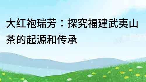大紅袍瑞芳：探究福建武夷山茶的起源和傳承