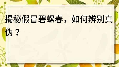 揭秘假冒碧螺春，如何辨別真?zhèn)危?></p>
	<p>首先,要看茶葉的外形。真正的碧螺春,外形呈現(xiàn)扭曲如螺,條索細(xì)嫩挺直,色澤墨綠。而假冒的碧螺春,則常常使用加工技術(shù)或染色等手段,使茶葉呈現(xiàn)出墨綠色,但條索卻是粗壯硬挺,與真品大相徑庭。</p>
	<p>其次,要聞茶葉的香氣。真正的碧螺春,有著清香幽雅的洞庭香,而假冒的碧螺春則是香氣單薄,甚至有異味。</p>
	<p>再者,要品茶的滋味。真品碧螺春,入口回甘,茶湯清爽鮮活,滋味持久。而假冒的碧螺春,口感淡薄,毫無回甘。</p>
	<p>最后,要看<a href=